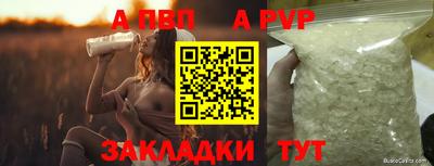 эйфоретик Ачхой-Мартан